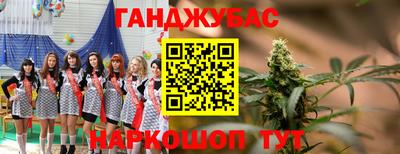 гашик Можга