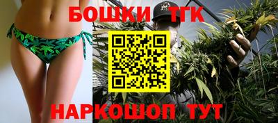 гашик Можга