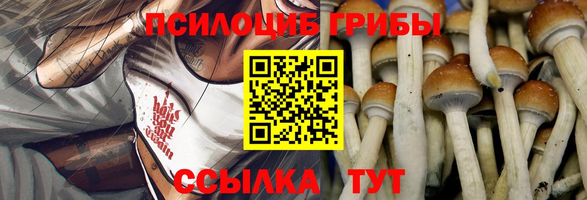 цена наркотик  Вход с VPN  Верхний Уфалей  Псилоцибиновые грибы мицелий 